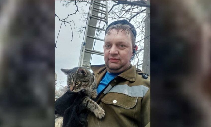    Воронежское региональное отделение ВСКС.