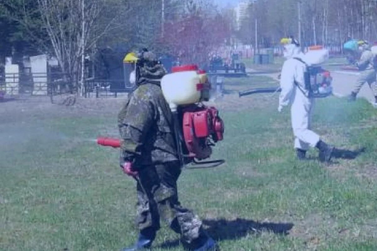    В Хабаровске начнут обрабатывать парки и скверы от клещей в апреле