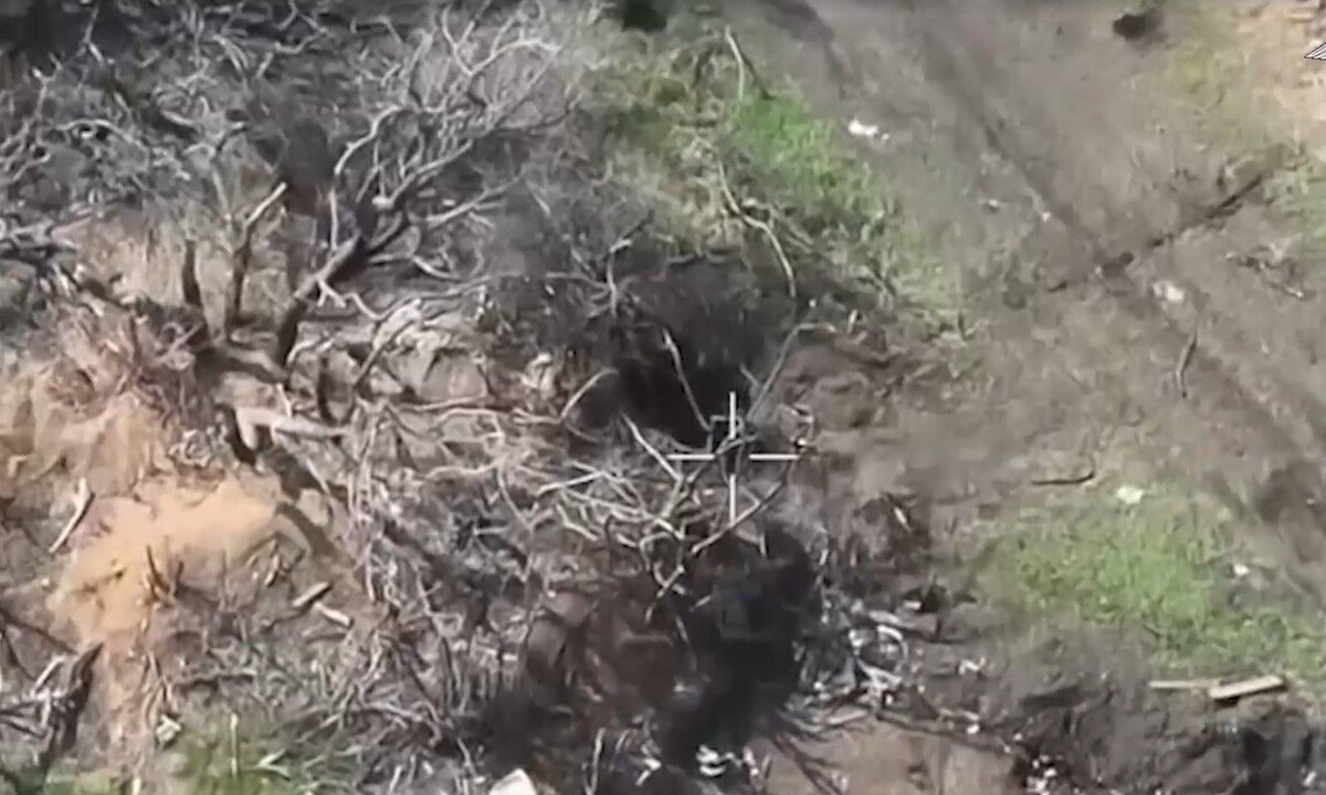     / Источник: Кадр из видео