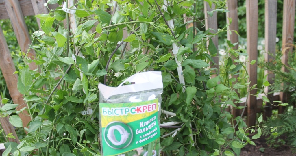 Маленькие помощники в саду и огороде — 10 новинок, которые облегчают жизнь