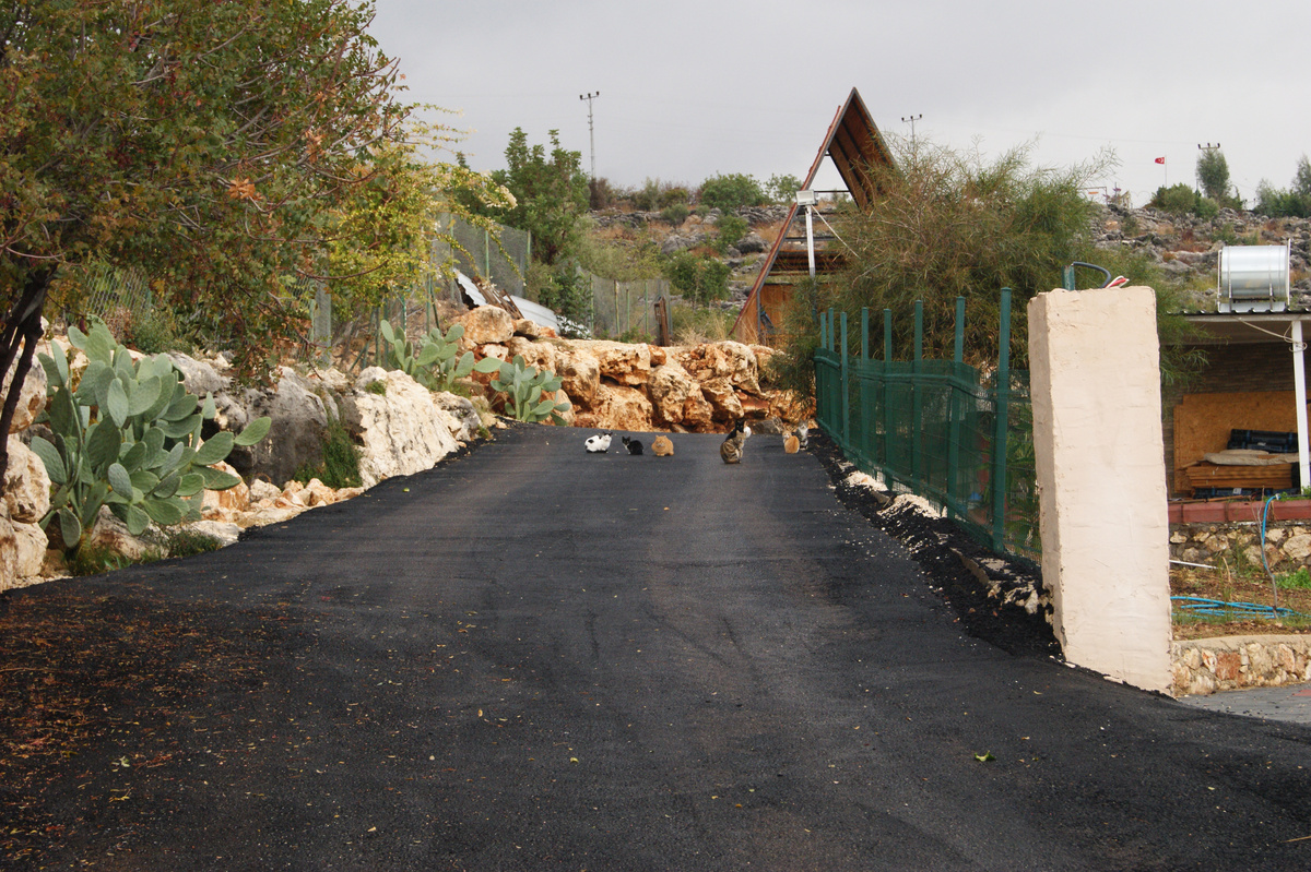 по дороге на Адамкайлар