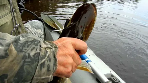 Фото с сайта: https://avatars.mds.yandex.net