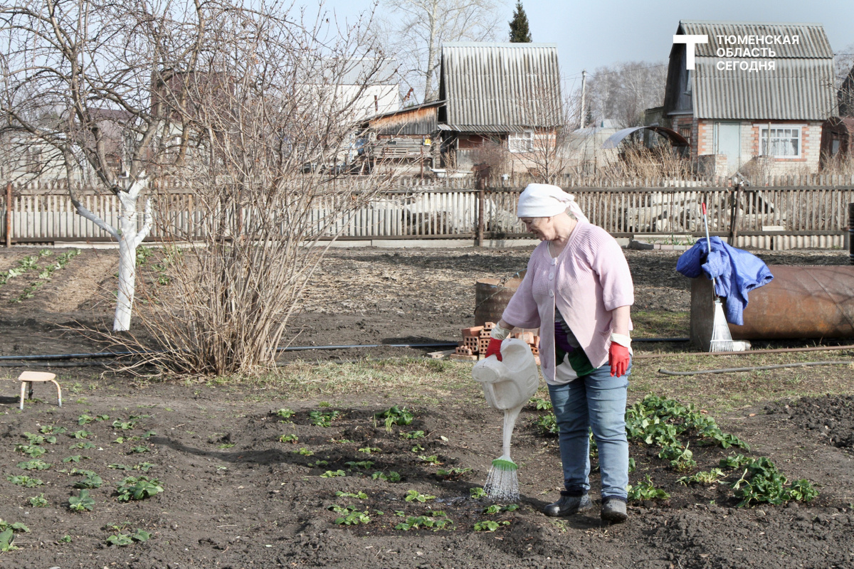 Фото Дениса Моргунова