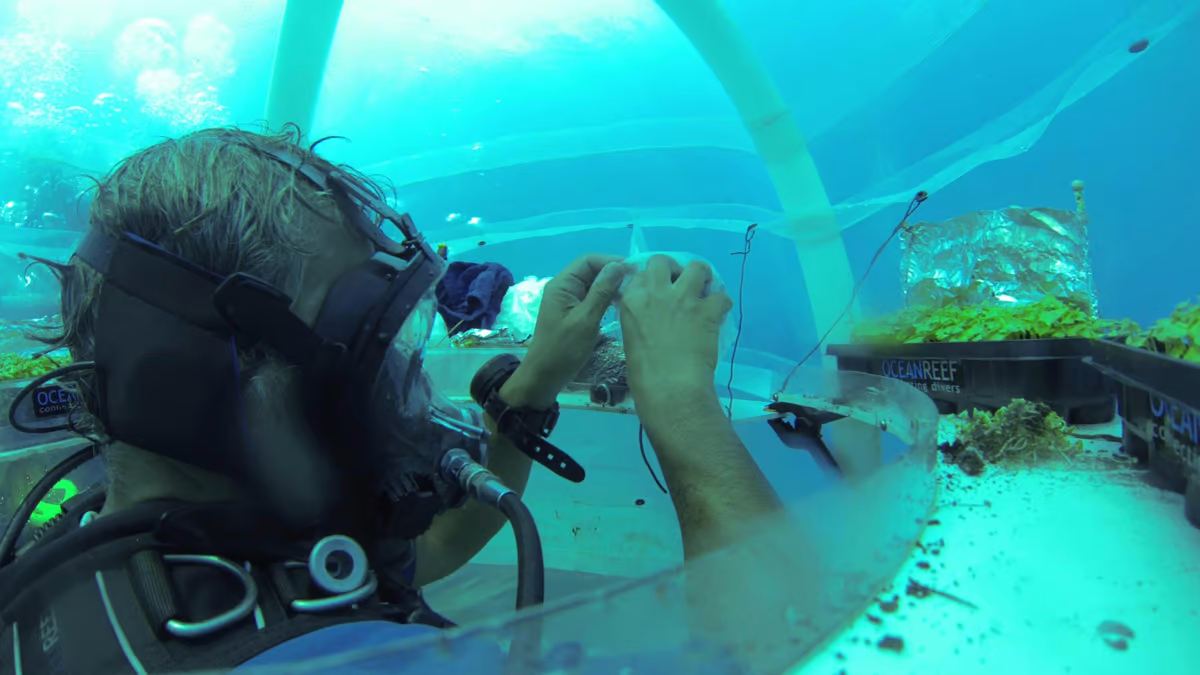 Взято с открытых источников