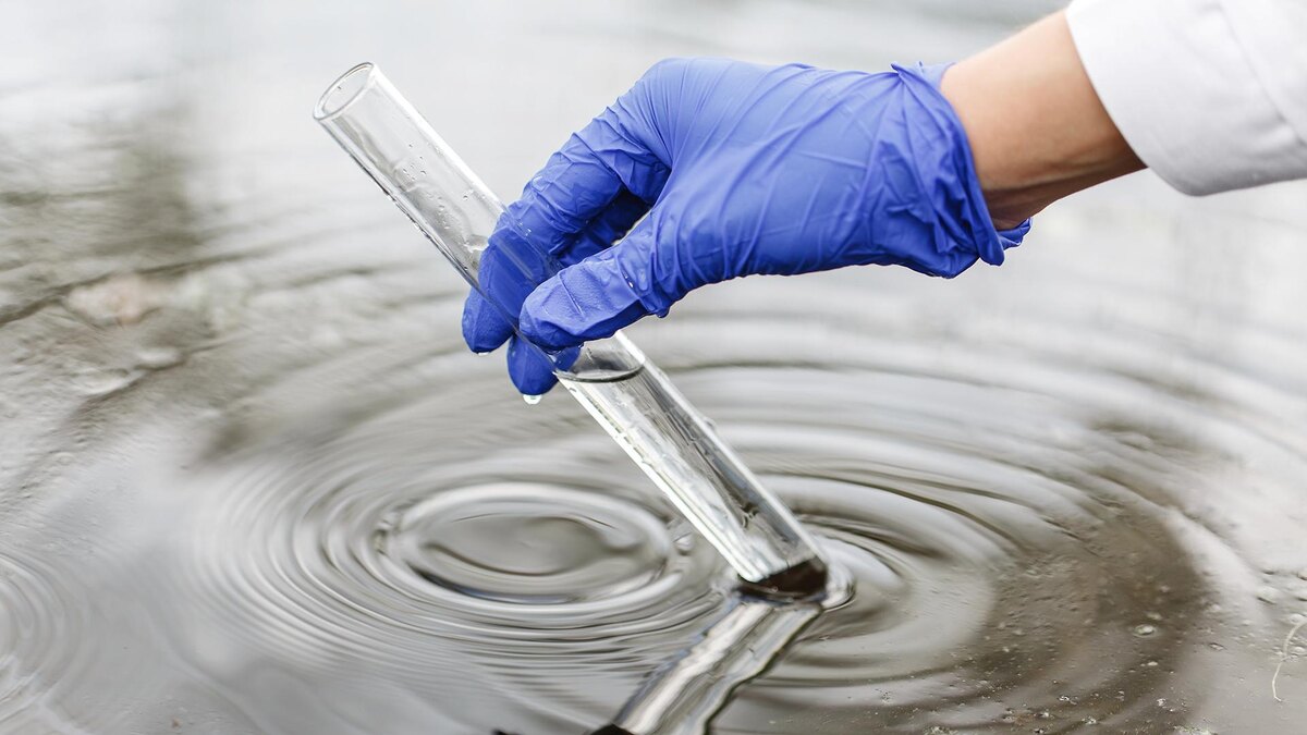    Фото: freepik.com/freepic.diller