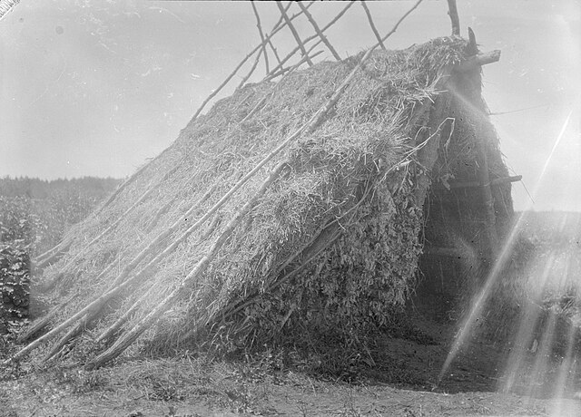 Избушка, или шалаш. Используется как сторожка для охраны зерновых. Снимок 1914 года.