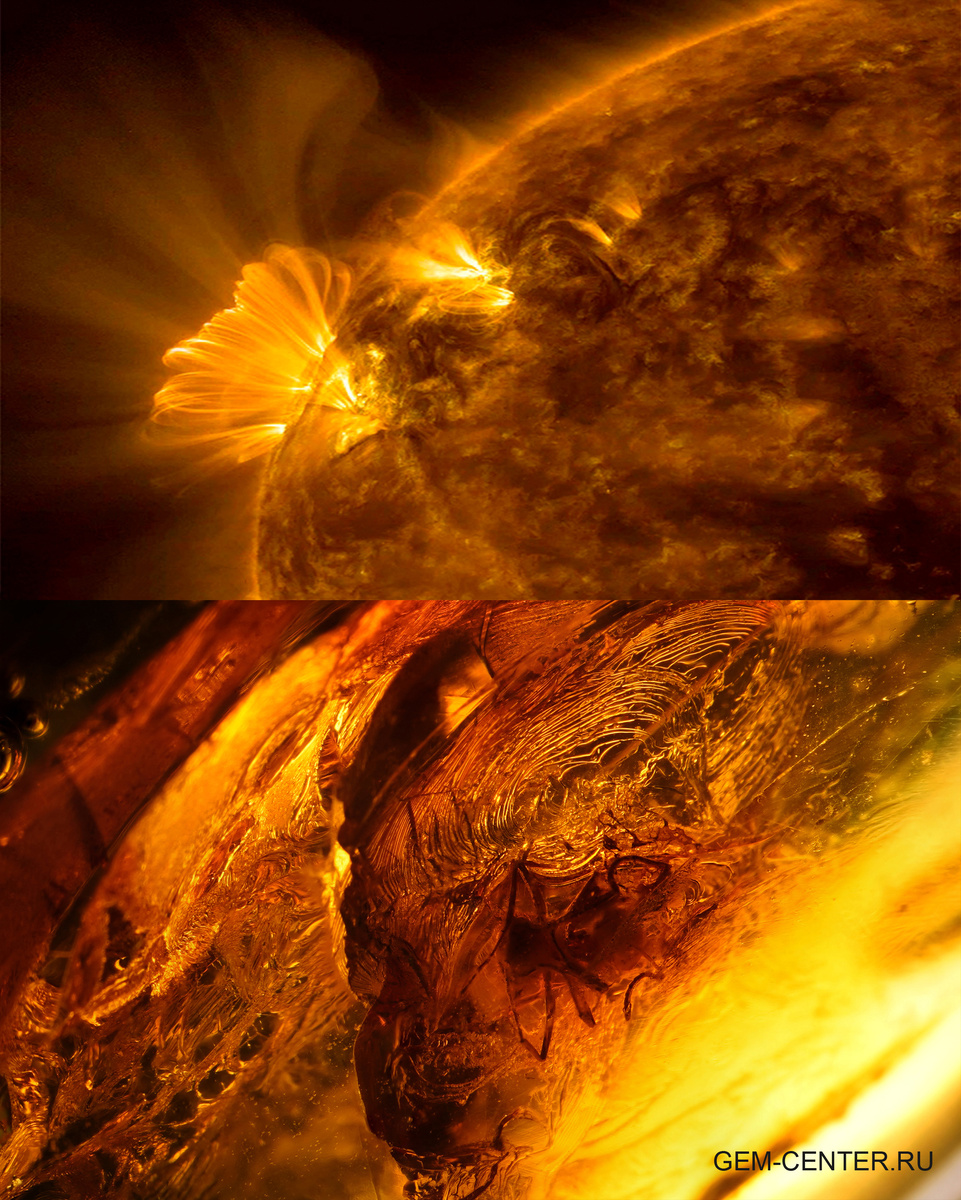 Включение насекомого в янтаре