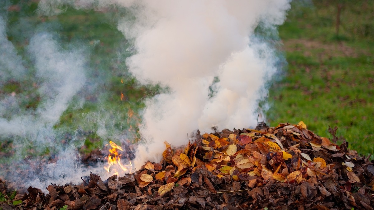    Нельзя развести огонь и уйти с участка. Фото: Freepik