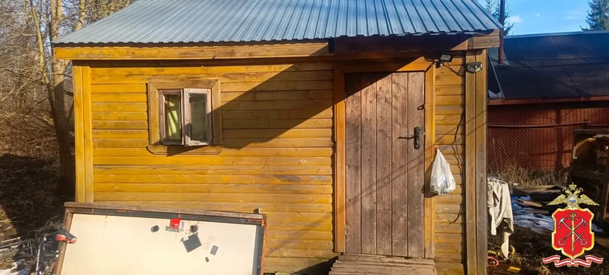    Фото: ГУ МВД по Петербургу и Ленобласти