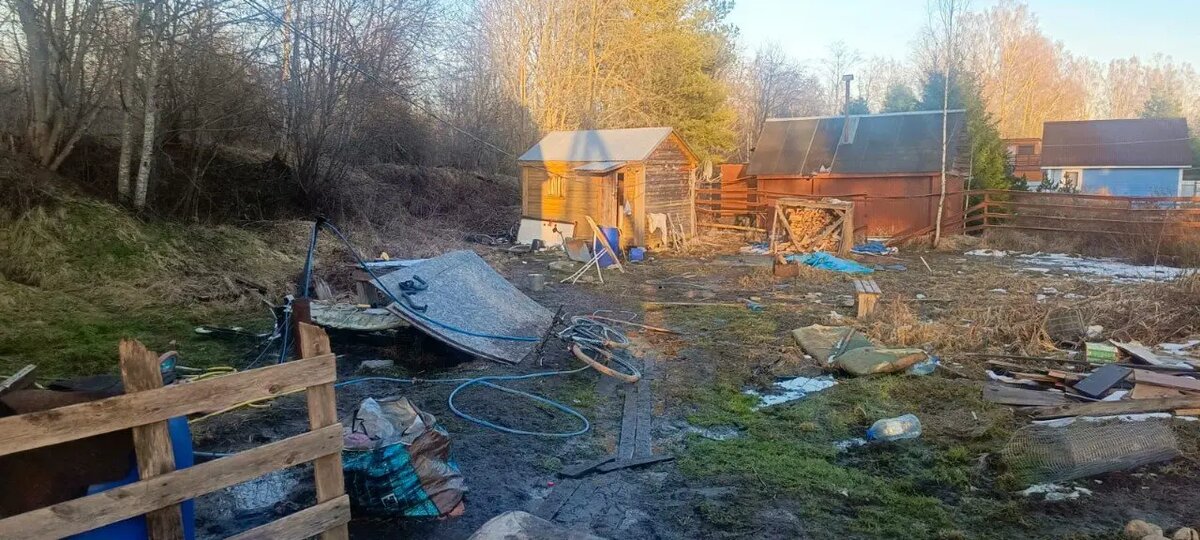    Фото: СУ СК РФ по Ленобласти