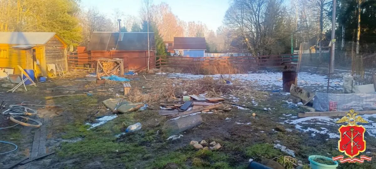    Фото: ГУ МВД по Петербургу и Ленобласти