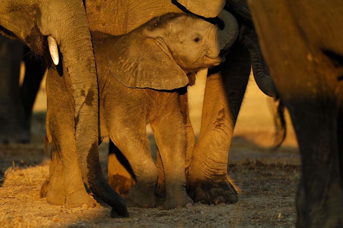     / Источник: © Bernd Zoller/Global Look Press