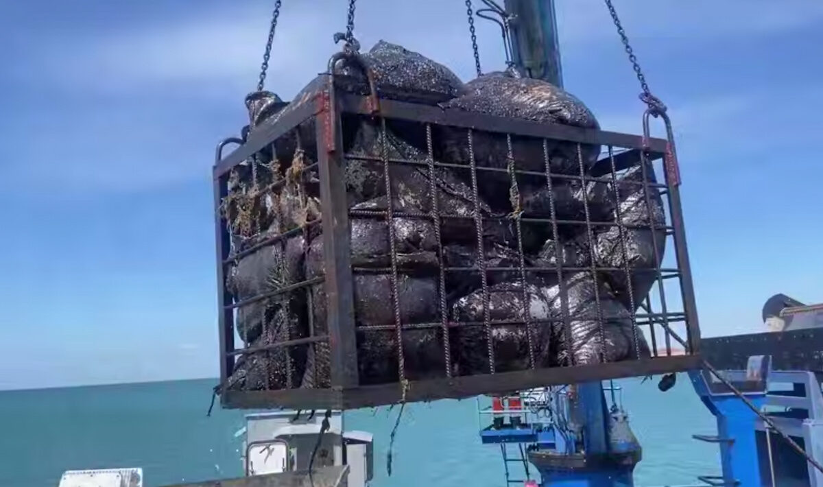    Фото t.me/opershtab23