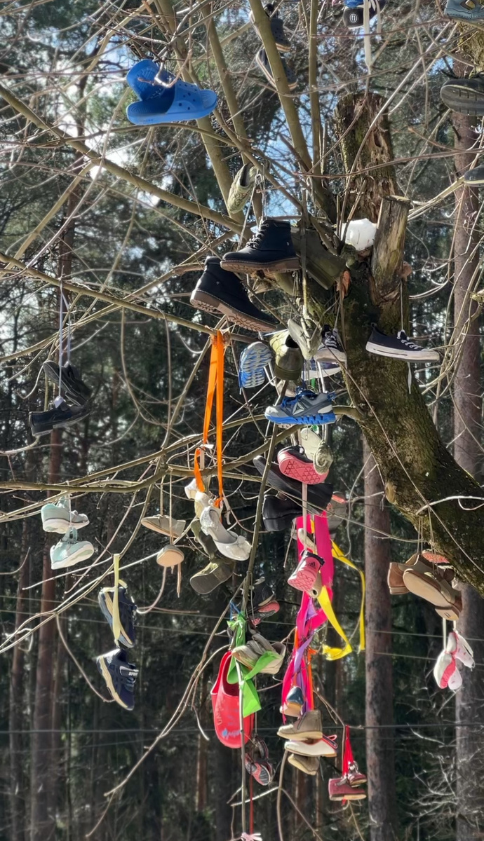 Чудо-дерево Корнея Чуковского 