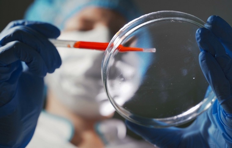    Shutterstock/FOTODOM