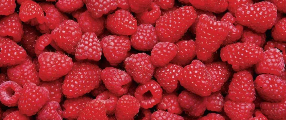 Выращивание малины