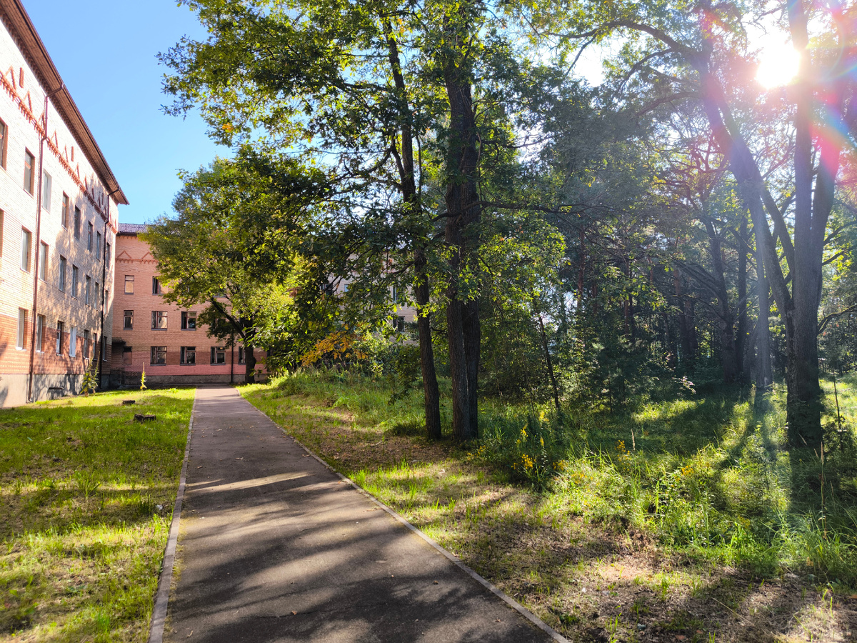 Из открытого доступа