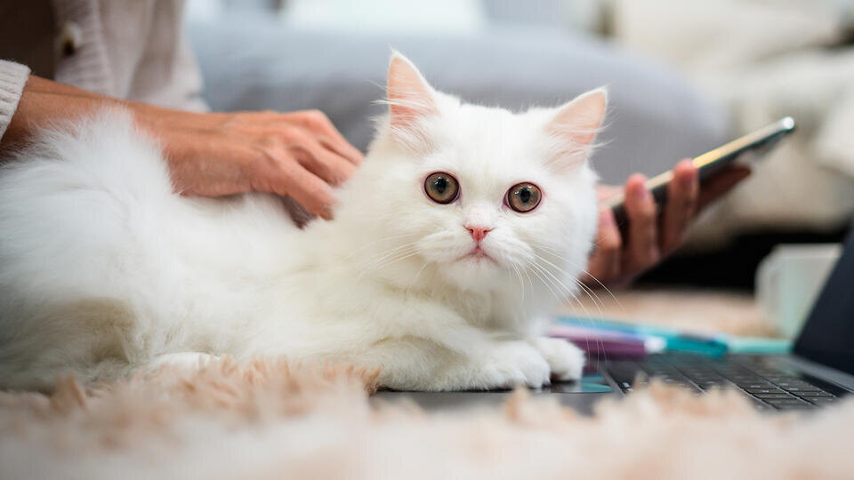 Фото: © www.globallookpress.com/Ingram Images