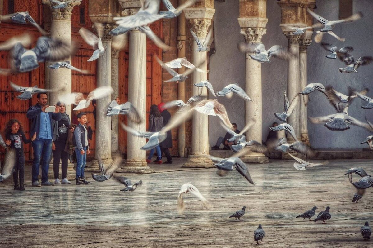 фотограф Krabaa Mohamed Anis