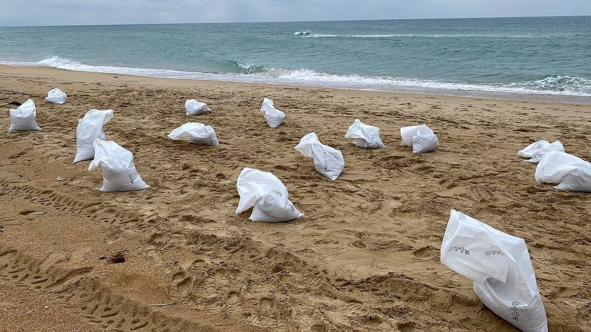    Фото: телеканал «Краснодар»