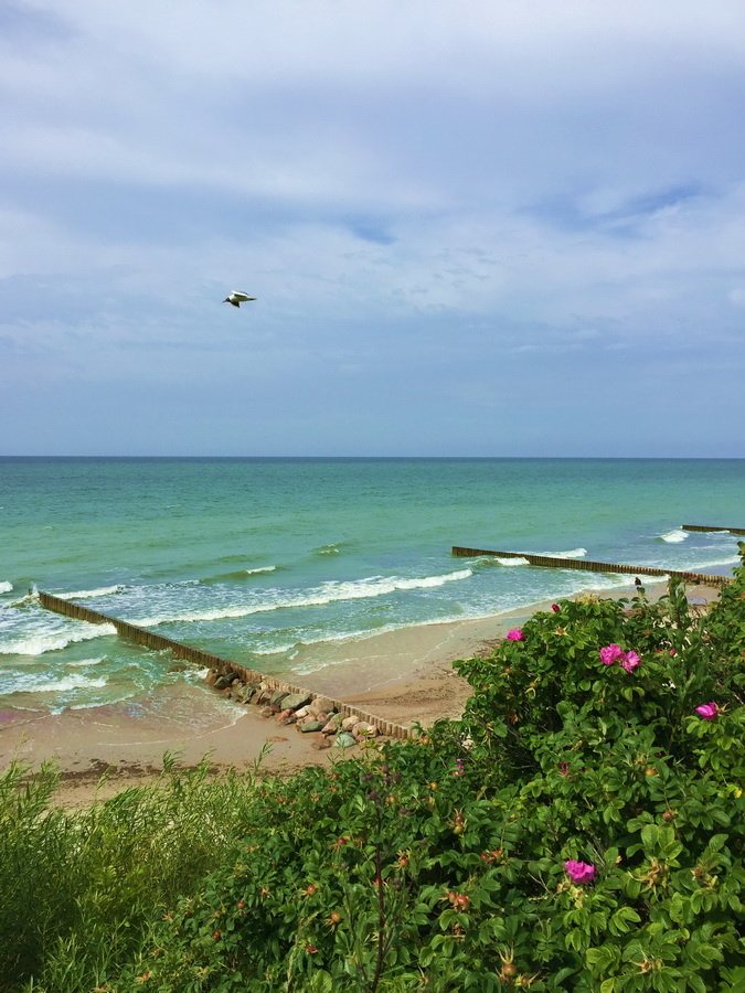 Моё любимое – Балтийское море. Все фото в статье – от автора