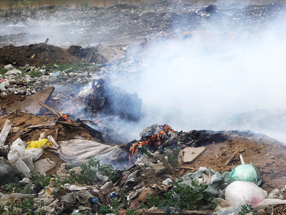 Фото из архива «КВ».