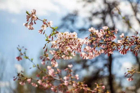 © Sputnik/Ертай Сарбасов