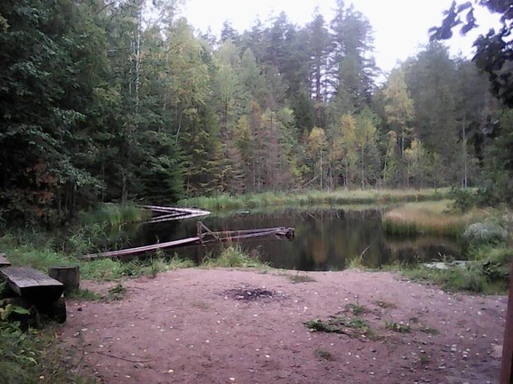 Болото с родниковой водой. Личное фото.