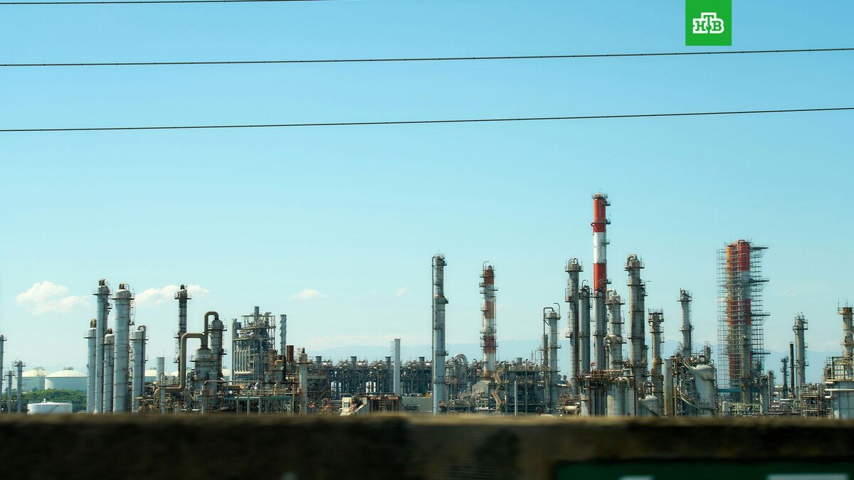    Фото: Buddy Photo / unsplash.com