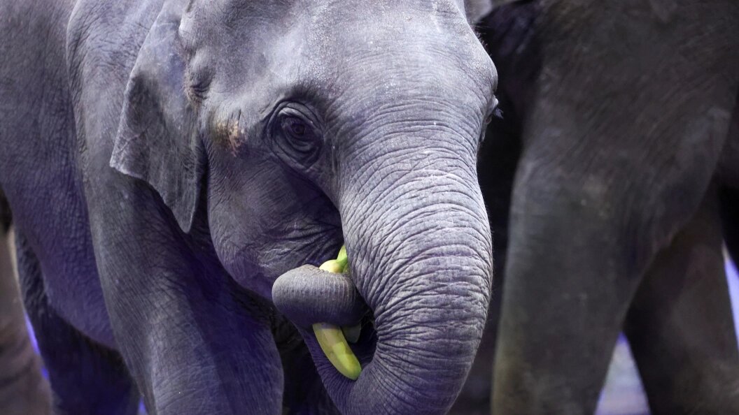    Belkin Alexey/news.ru/Globallookpress