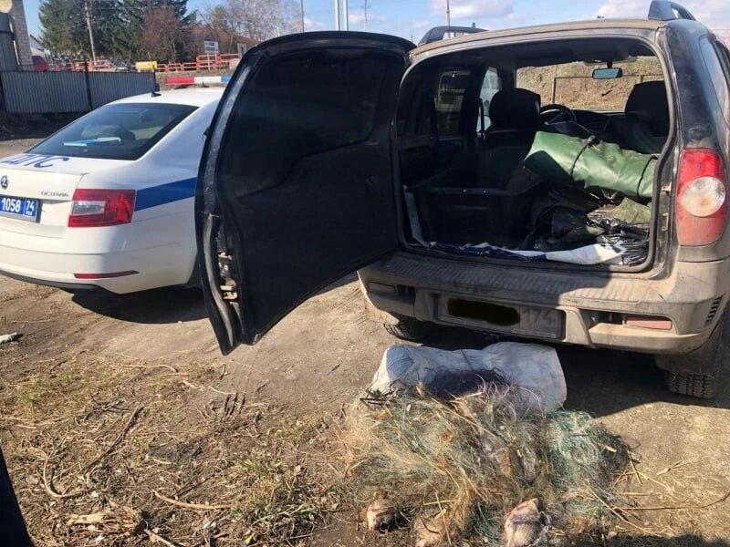 Фото: ГУ МВД России по Челябинской области