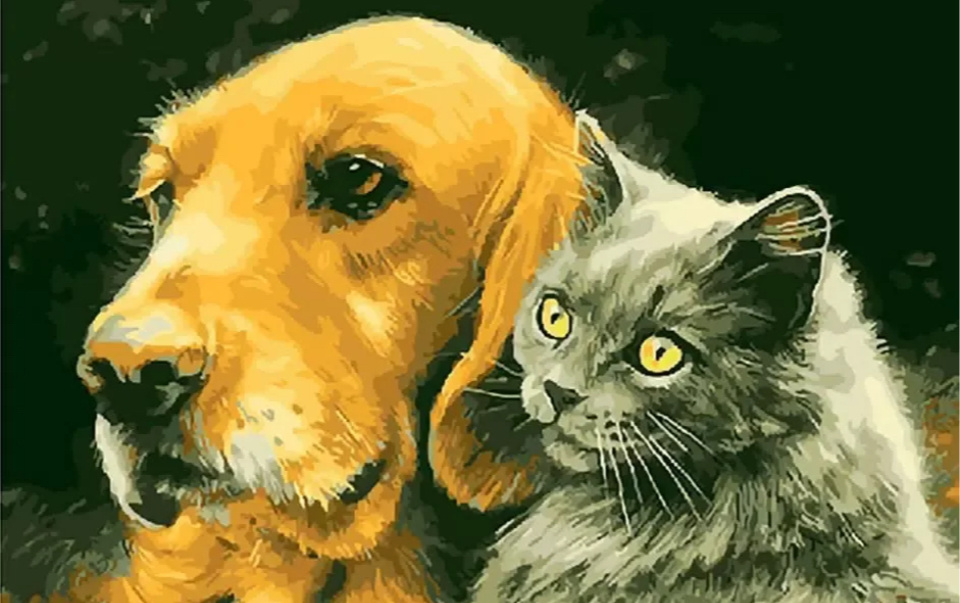 Яндекс.картинки для обложки