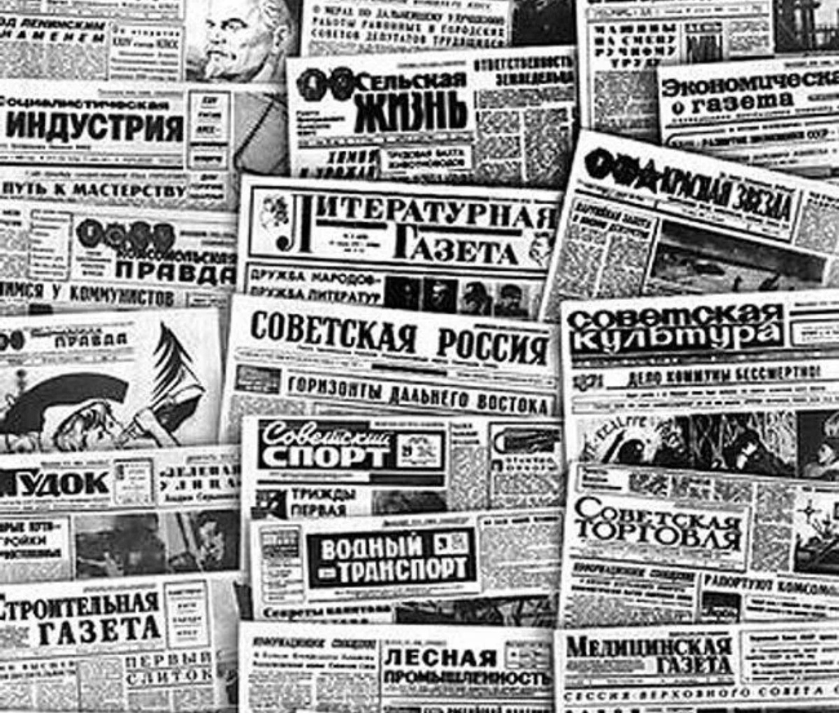 Фото с Яндекс.Картинки