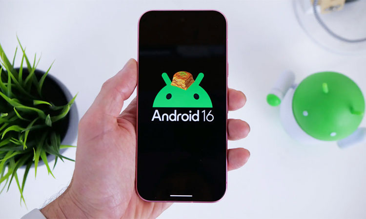 Изображение: открытые источники