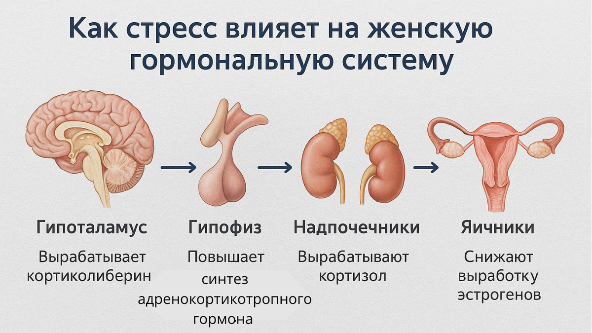 Т-Клиника Алтайская 33/7
