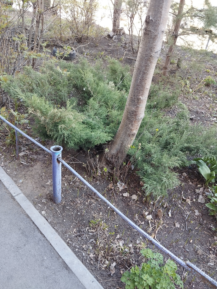 Место встречи