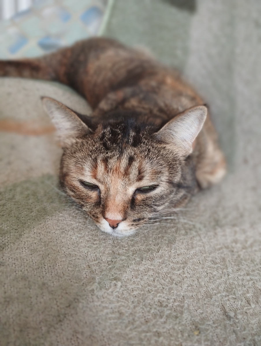 Наша Карамелька