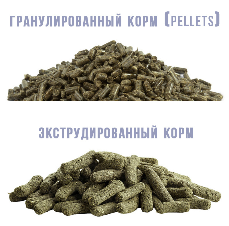 Изображения с сайта Versele-laga.com