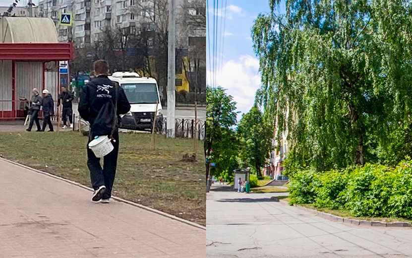    Вырубка деревьев, кастрюля вместо сумки, травля детей: что обсуждают ижевчане в соцсетях 15 апреля