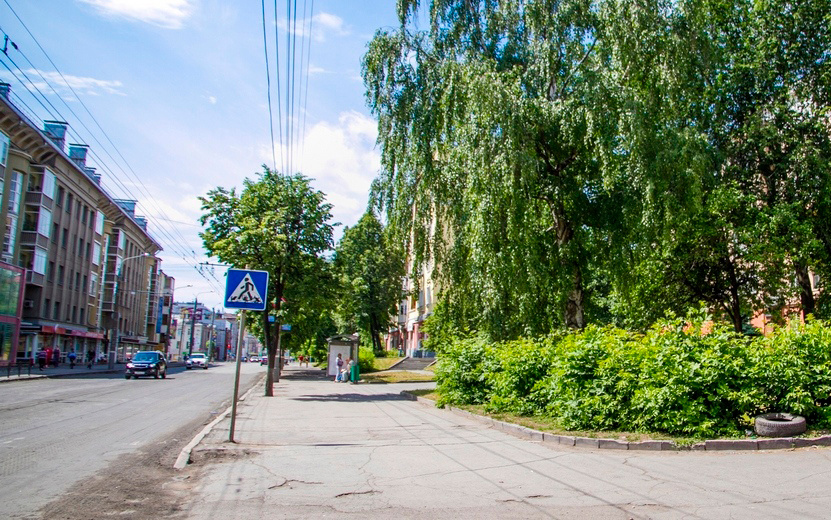  На ул. Советской хотят вырубить деревья. Фото: архив редакции