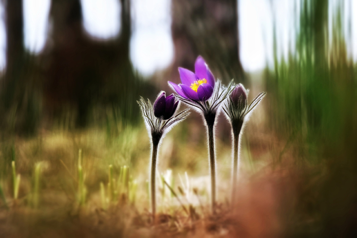 Фото: Екатерина Лобанова