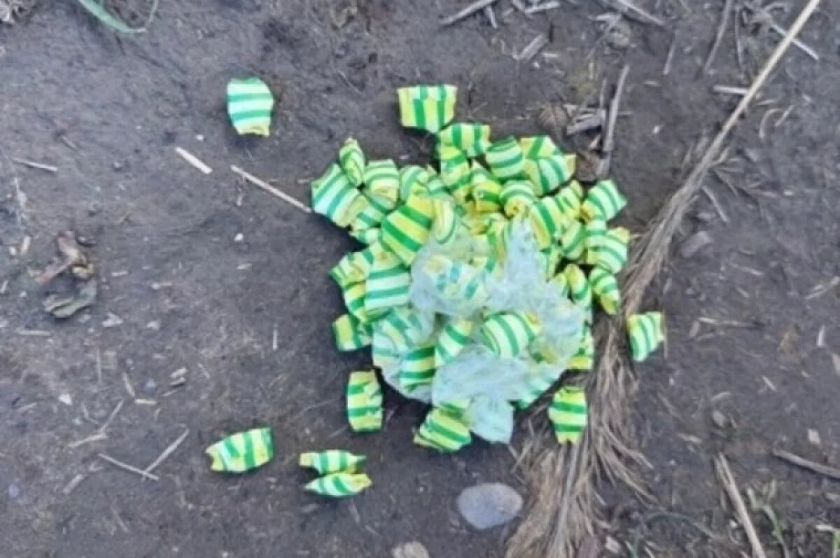    В Астраханской области задержали иностранку с метадоном