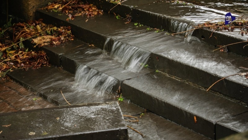      Фото: Дмитрий Ахмадуллин / / ИА «Победа26»