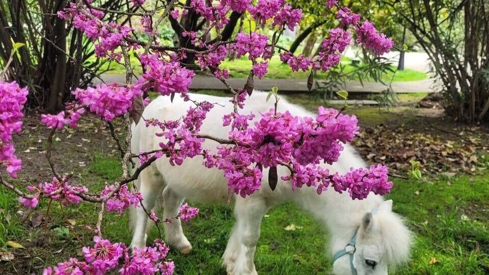     Автор: Фото: парк «Ривьера» Источник: 1MI