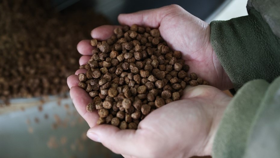    Мужчина держит в руках горсть сухого корма для животных. Автор фото: Эрик Романенко / ТАСС