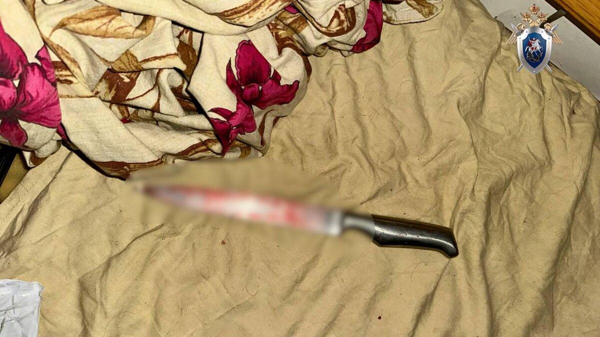    Фото: t.me/gsuskrf_spb