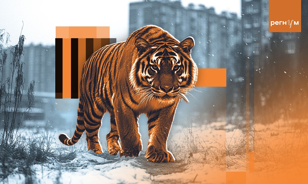     / Источник: Иван Шилов (с) ИА Регнум