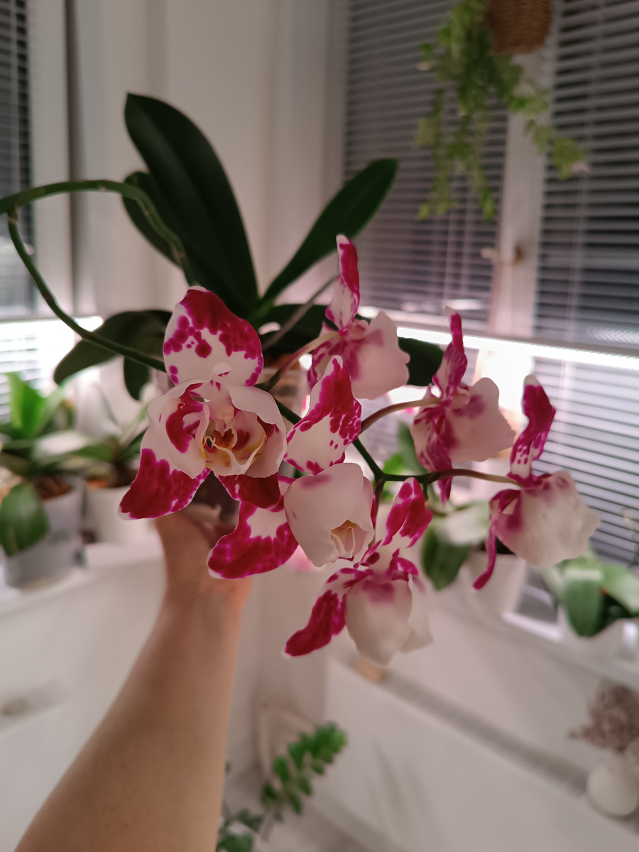 Так она выглядит на сегодняшний день 15.04.2025 г.