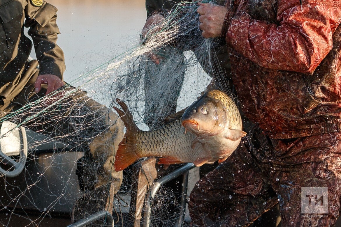 Фото "Татар-информ"