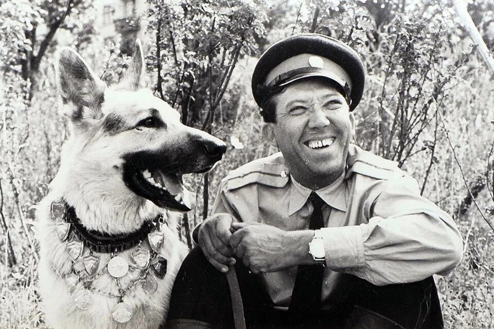 Кадр из фильма